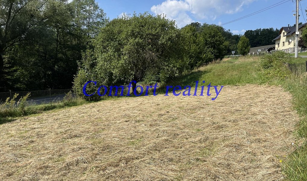 Prodej zahrady 2 405 m², Horní Lhota – náhled fotky 3