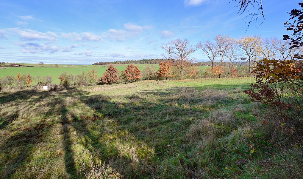 Prodej stavebního pozemku 1 217 m², Daleké Dušníky – náhled fotky 5