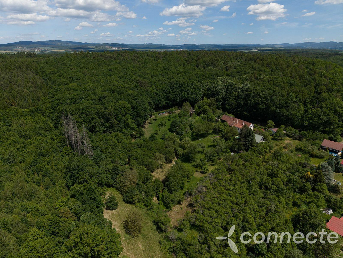 Prodej louky 3 131 m² — photo 4