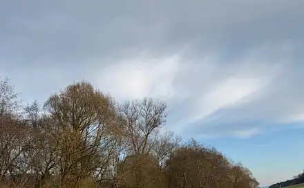 Prodej pozemku 21 761 m², Chvalšiny - Nemojany