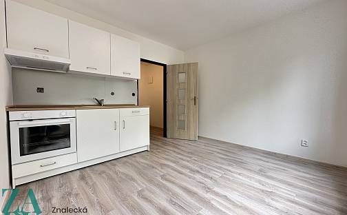 Pronájem bytu 1+1 38 m², Purkyňova, Ústí nad Labem - Střekov