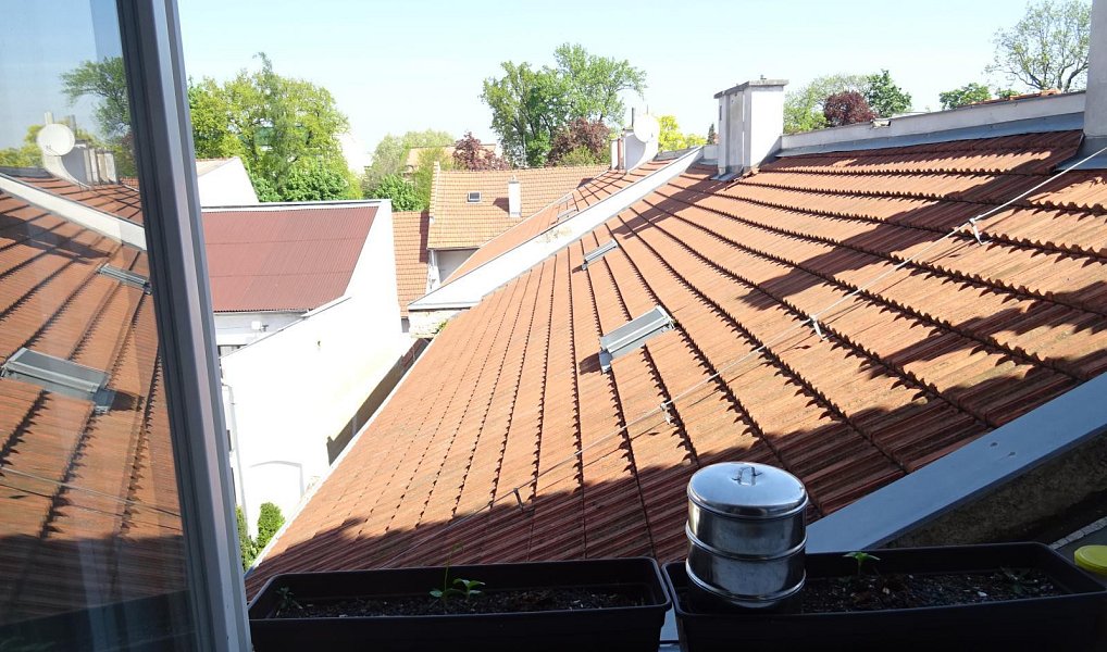 Prodej domu 1 146 m² s pozemkem 679 m², Prostějov – náhled fotky 9