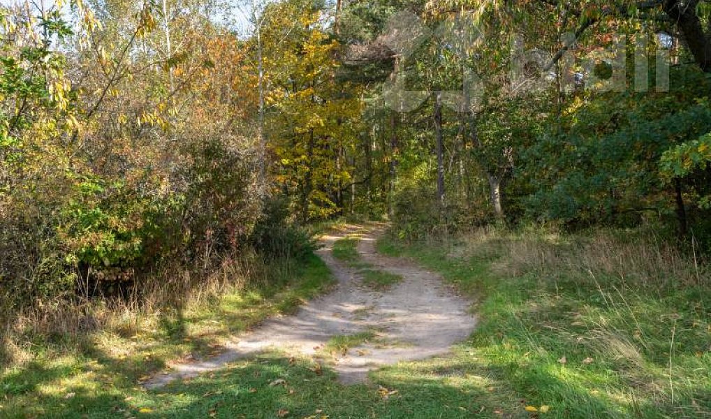 Prodej domu 70 m² s pozemkem 1 847 m², Brodec – náhled fotky 37