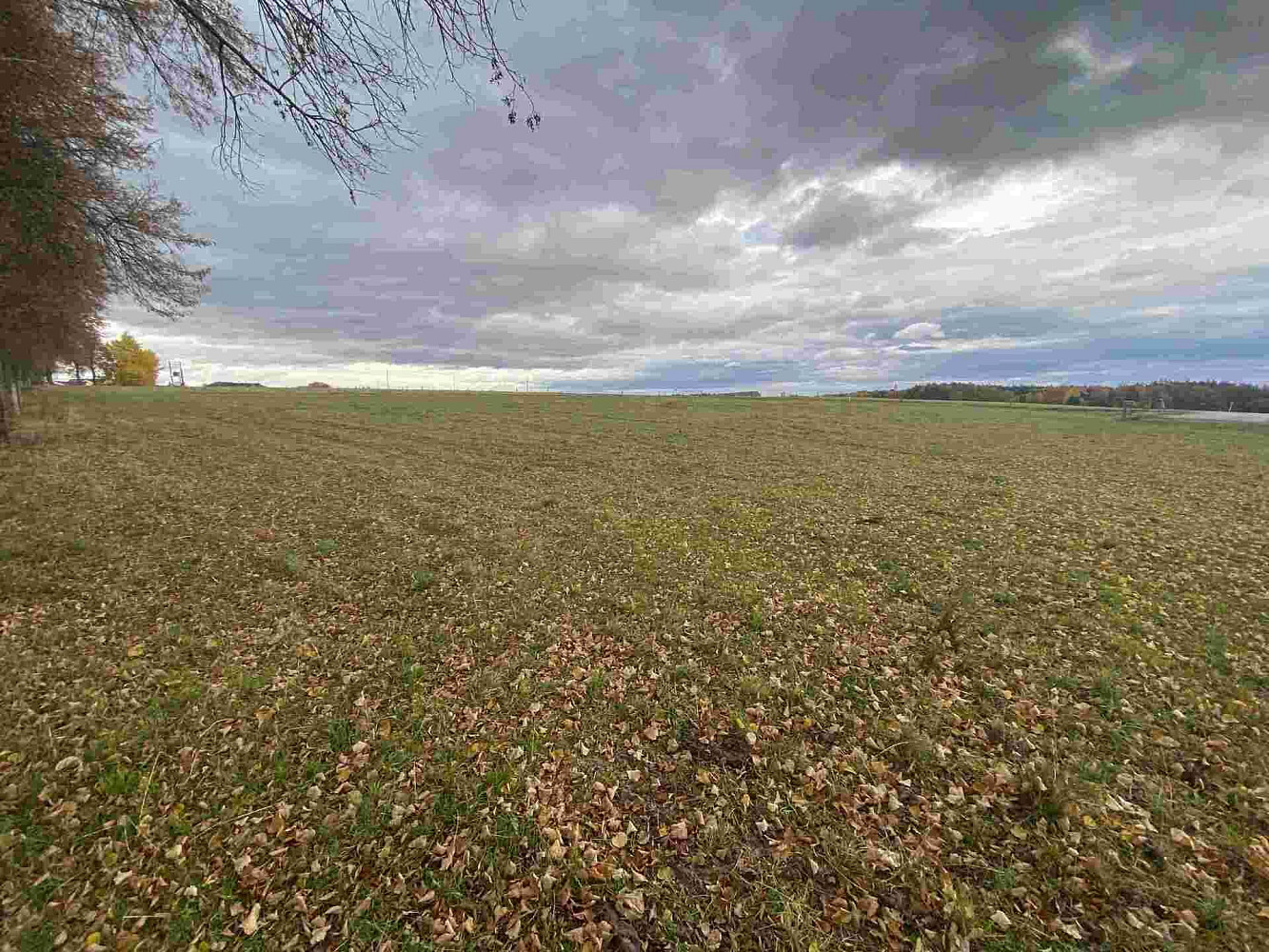 Prodej komerčního pozemku 4 604 m² – fotografie 2