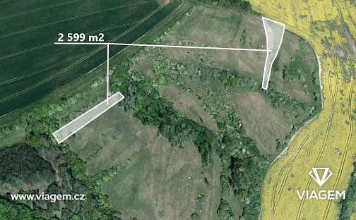 Prodej pole 1 299 m², Nevojice, okres Vyškov