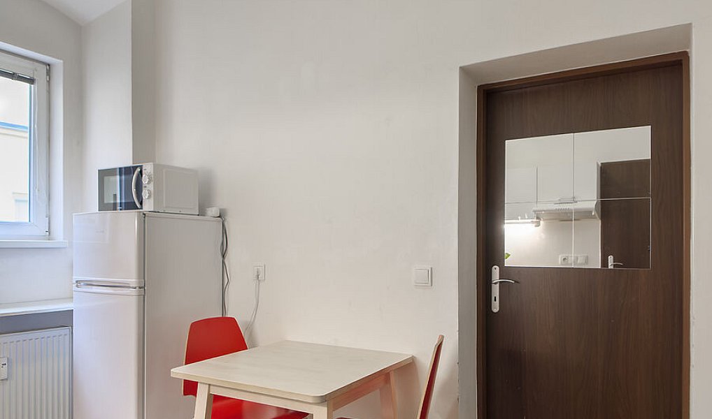 Pronájem bytu 1+1 29 m², Brno – náhled fotky 3