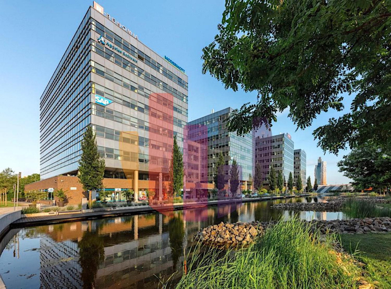 Pronájem kanceláře 377 m²