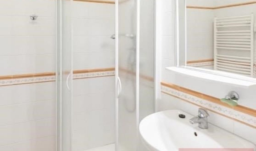 Pronájem domu 827 m² s pozemkem 8 770 m², Praha – náhled fotky 11