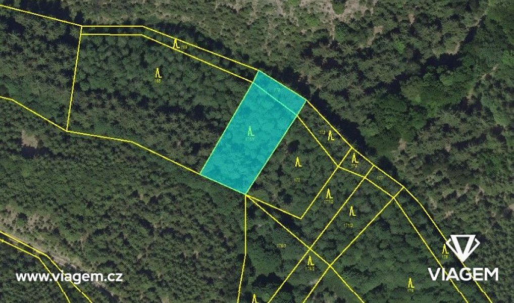 Prodej lesa 844 m², Řendějov – náhled fotky 3