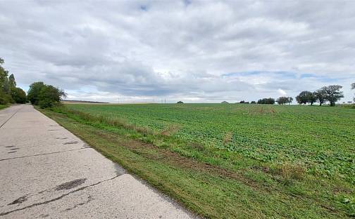 Prodej komerčního pozemku 25 000 m², Klučovská, Český Brod - Liblice, okres Kolín