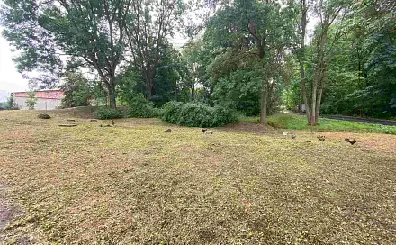 Prodej pozemku 1 993 m², Březová, okres Sokolov