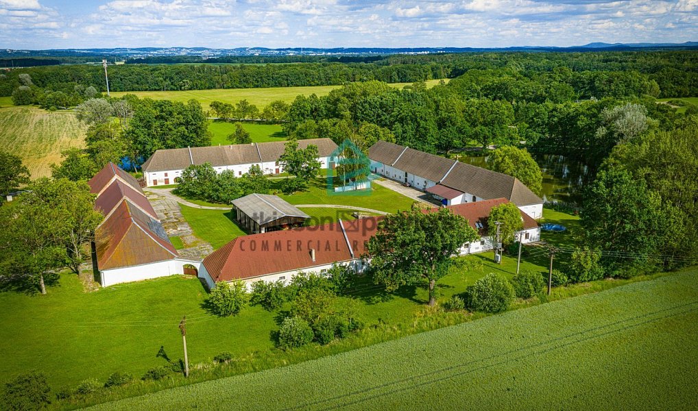 Prodej chaty/chalupy 1 600 m² s pozemkem 919 488 m², Břehov – náhled fotky 11