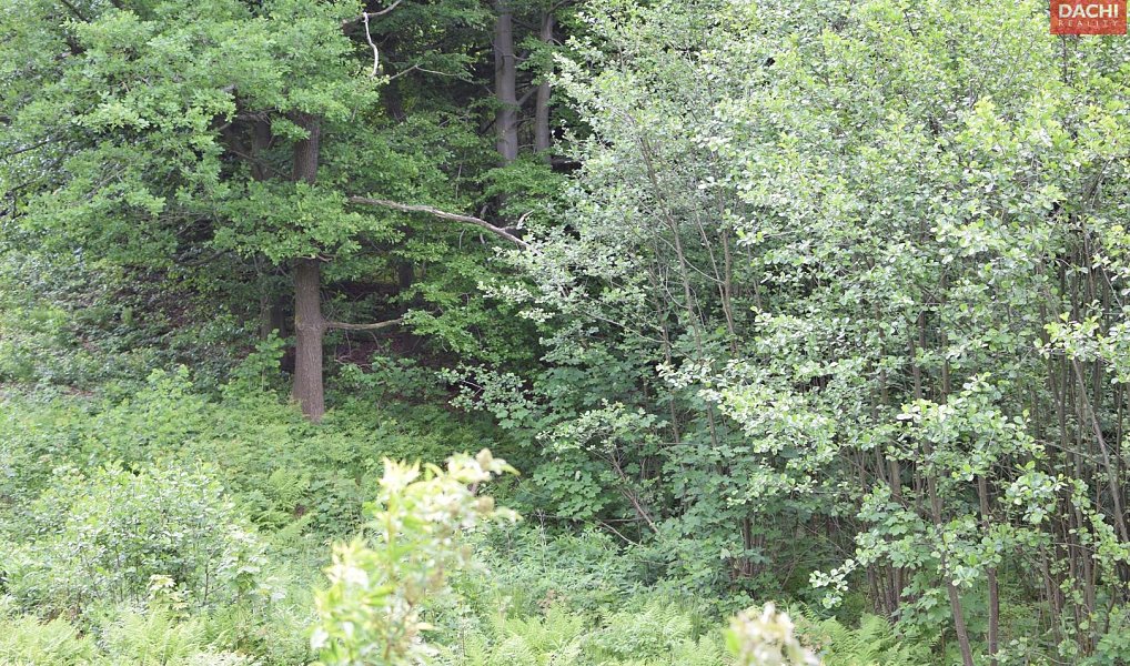 Prodej pozemku 4 584 m², Horní Heřmanice – náhled fotky 7