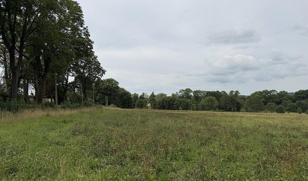 Prodej pole 27 187 m², Raspenava – náhled fotky 6