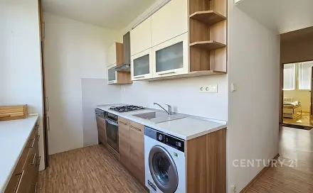 Pronájem bytu 4+1 94 m², Loosova, Brno - Lesná