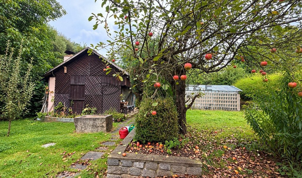 Prodej chaty/chalupy 20 m² s pozemkem 511 m², Horní Stropnice – náhled fotky 5