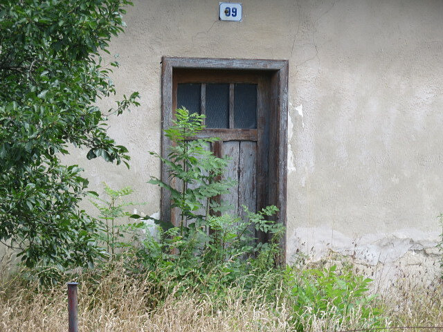 Fotka 10 z 25
