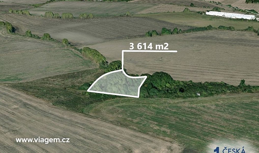 Prodej pole 602 m², Veliká Ves – náhled fotky 2