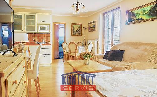 Pronájem bytu 1+kk 50 m², Belvederská, Železná Ruda, okres Klatovy