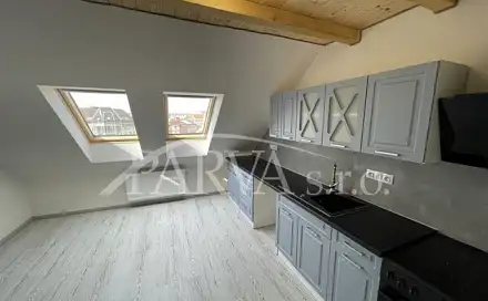 Pronájem bytu 3+kk 90 m², U Trati, Plzeň - Jižní Předměstí