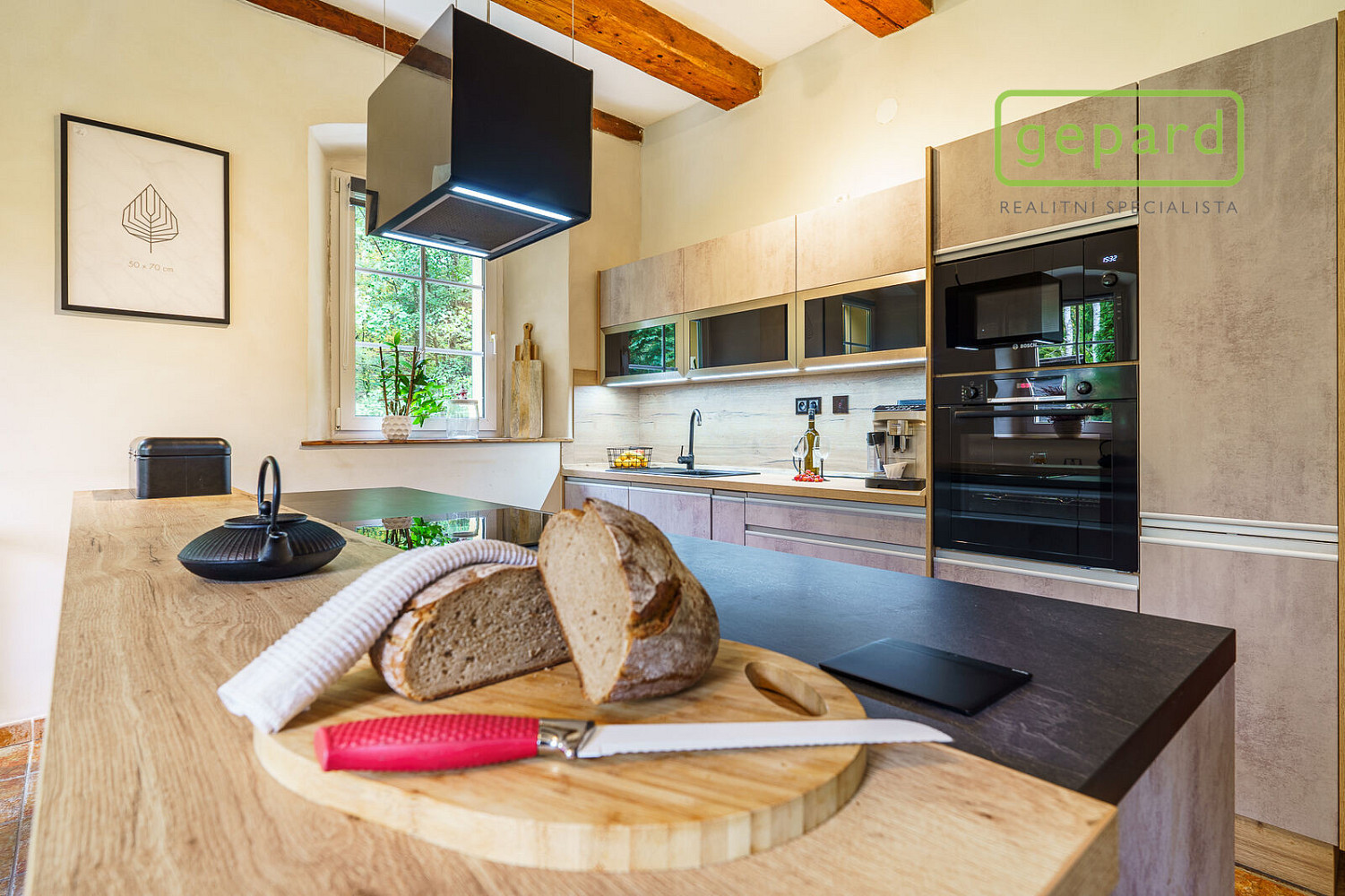 Prodej domu 295 m² s pozemkem 9 233 m² – fotografie 2