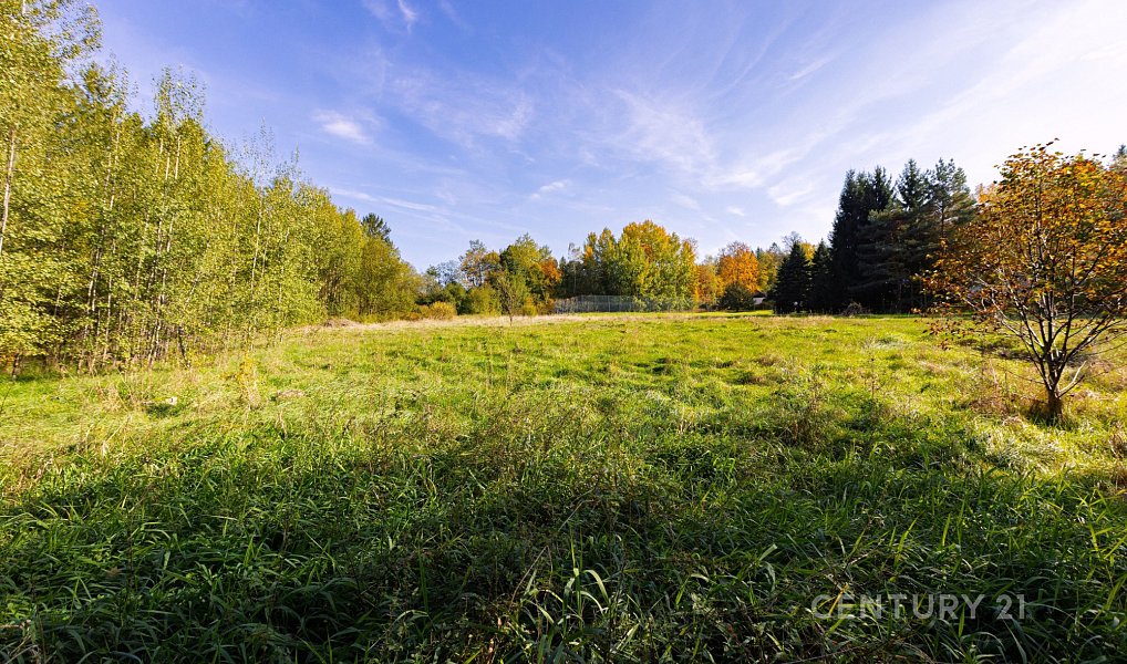Prodej stavebního pozemku 2 511 m², Jevany – náhled fotky 3