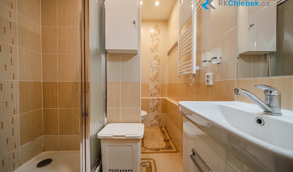 Prodej bytu 2+1 45 m², Frýdek-Místek – náhled fotky 5
