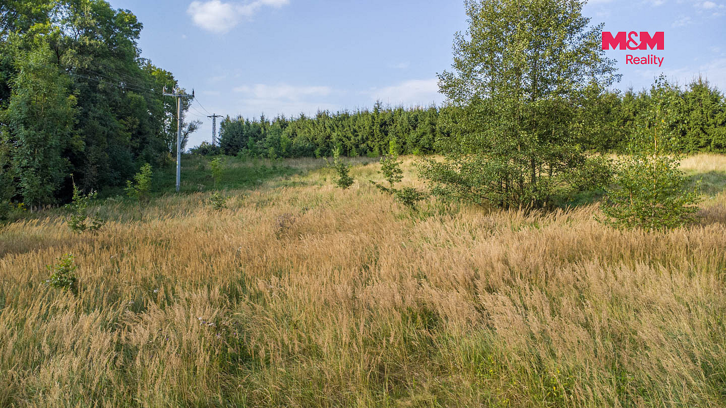 Prodej louky 5 500 m² – fotografie 5
