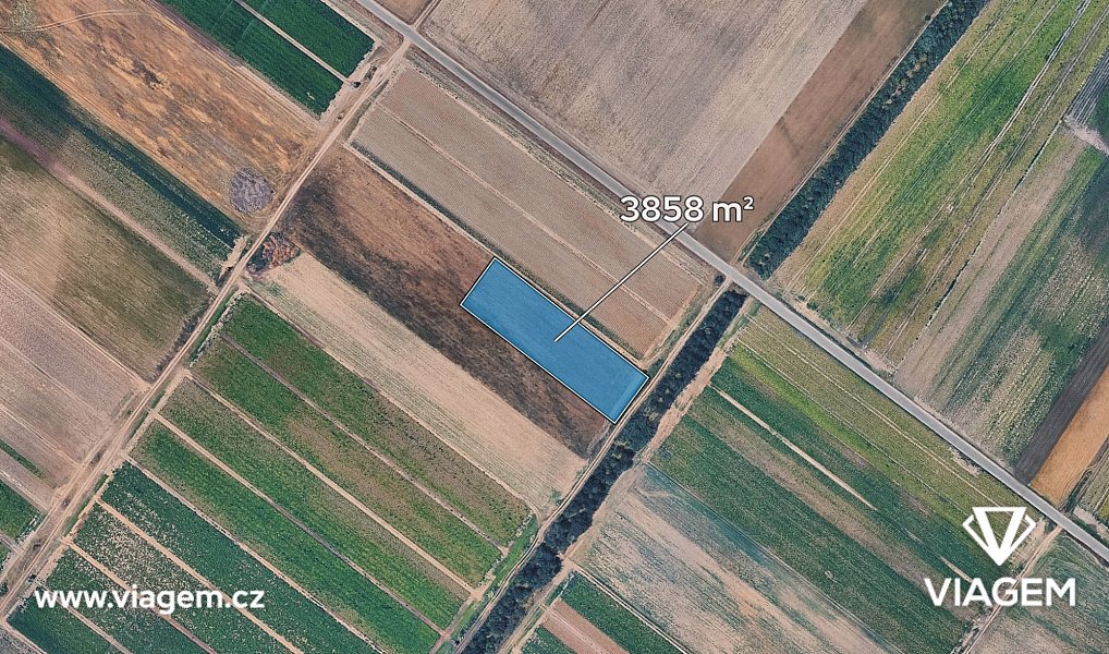 Prodej pole 3 858 m², Dřísy – náhled fotky 2