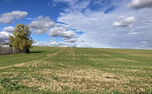 Prodej stavebního pozemku 800 m², Plenkovice, okres Znojmo