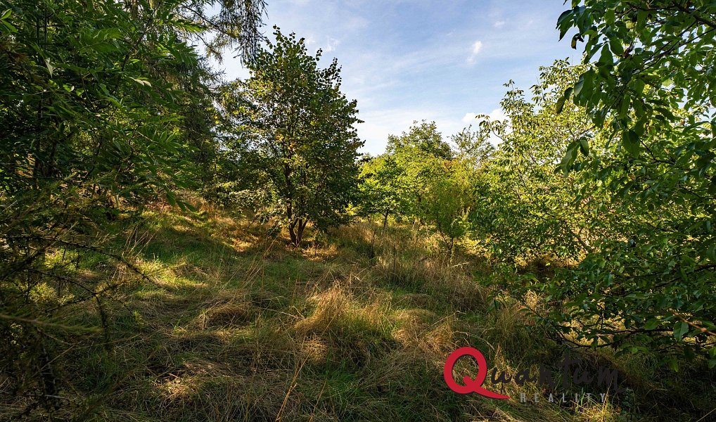 Prodej stavebního pozemku 16 339 m², Brandýsek – náhled fotky 54