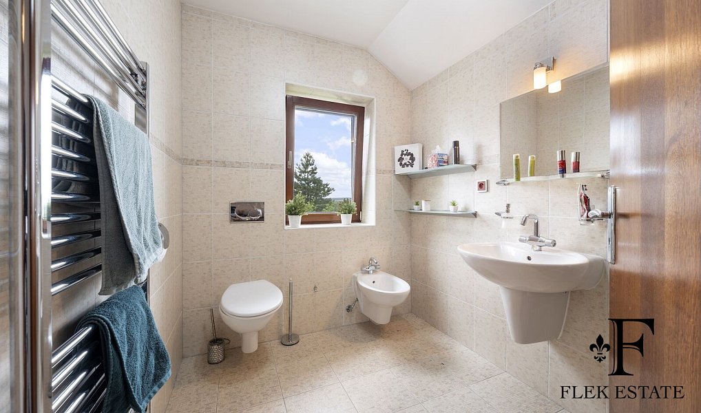 Prodej domu 371 m² s pozemkem 2 392 m², Medlov – náhled fotky 28