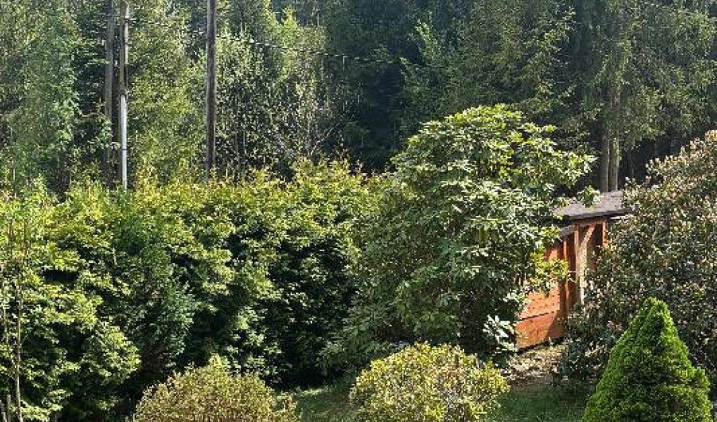 Prodej chaty/chalupy 49 m² s pozemkem 776 m², Košařiska – náhled fotky 29