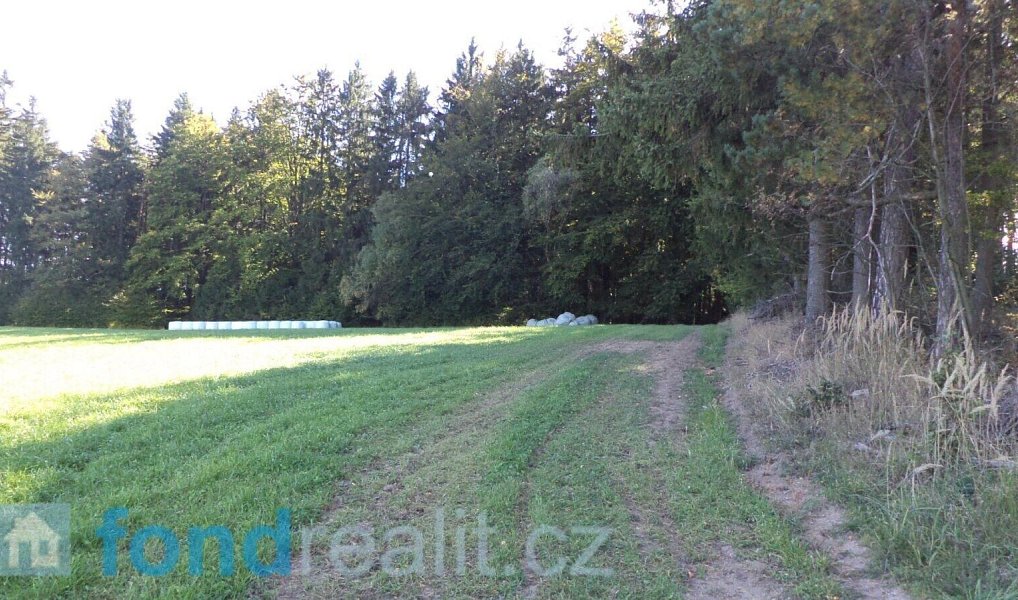 Prodej pozemku 4 992 m², Studená – náhled fotky 7