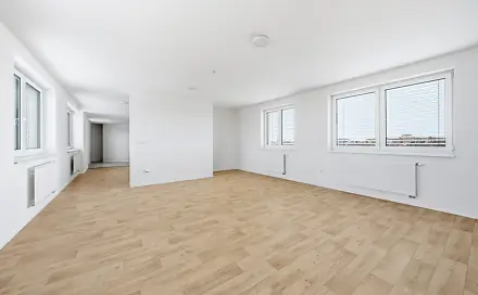 Pronájem bytu 1+1 66 m², Suvorovova, Plzeň - Východní Předměstí