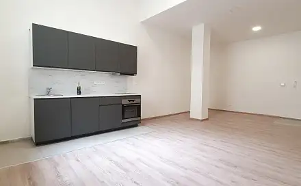 Pronájem bytu 1+kk 47 m²
