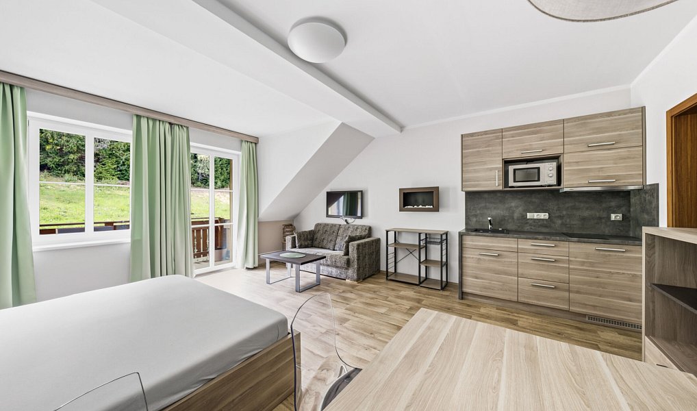 Prodej bytu 1+kk 40 m², Železná Ruda – náhled fotky 2