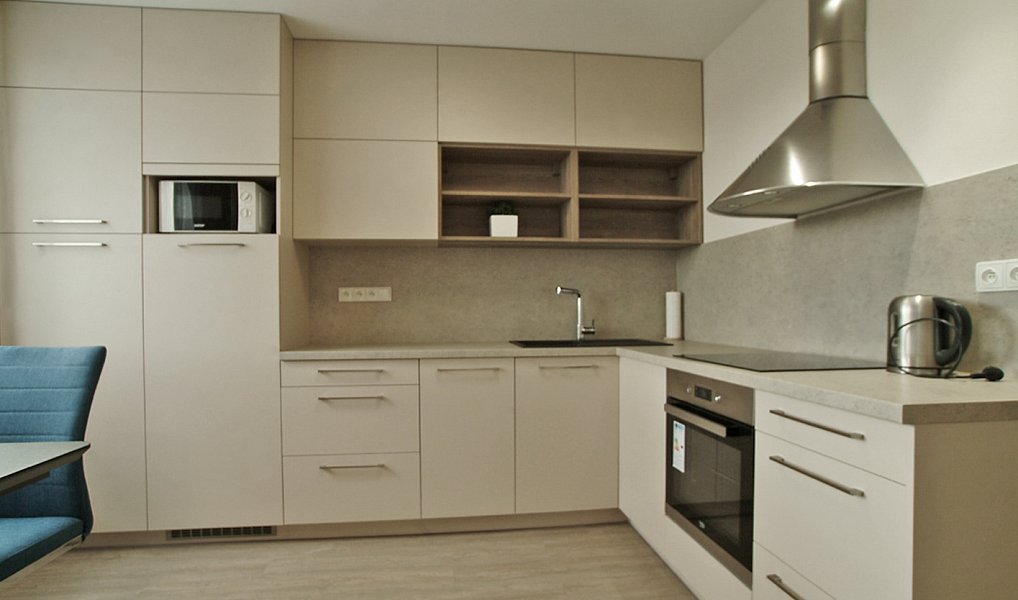 Pronájem bytu 1+1 42 m², Liberec – náhled fotky 10
