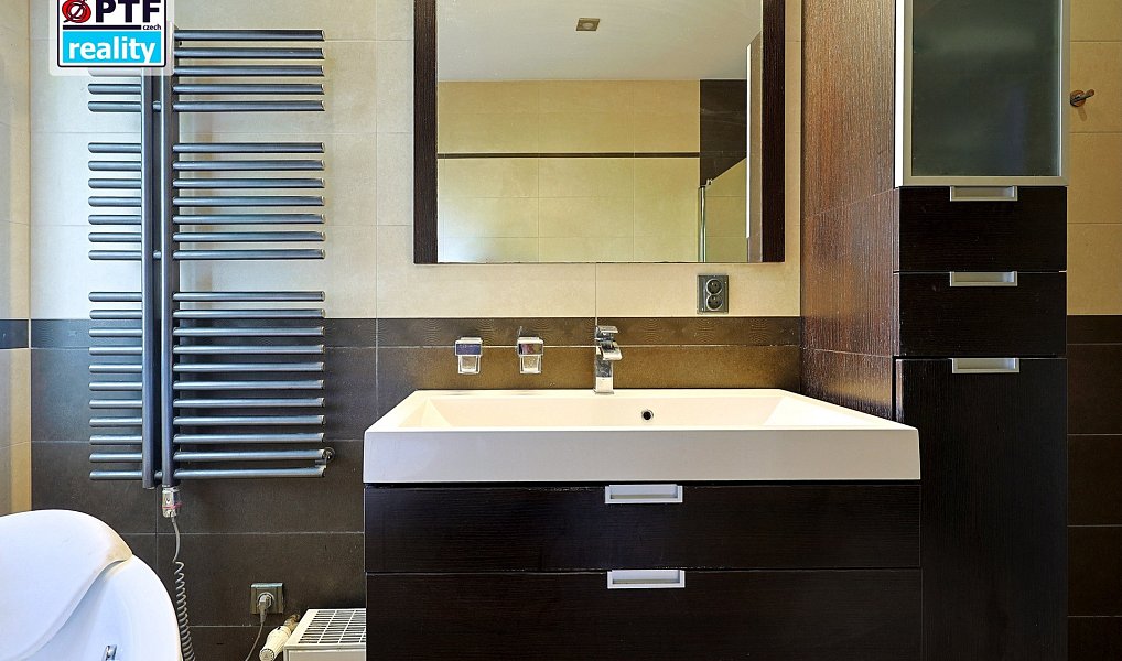 Prodej domu 353 m² s pozemkem 743 m², Plzeň – náhled fotky 9