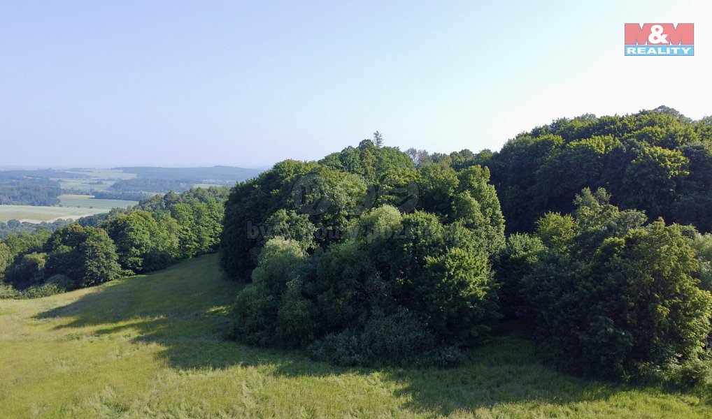 Prodej stavebního pozemku 5 600 m², Vlksice – náhled fotky 4