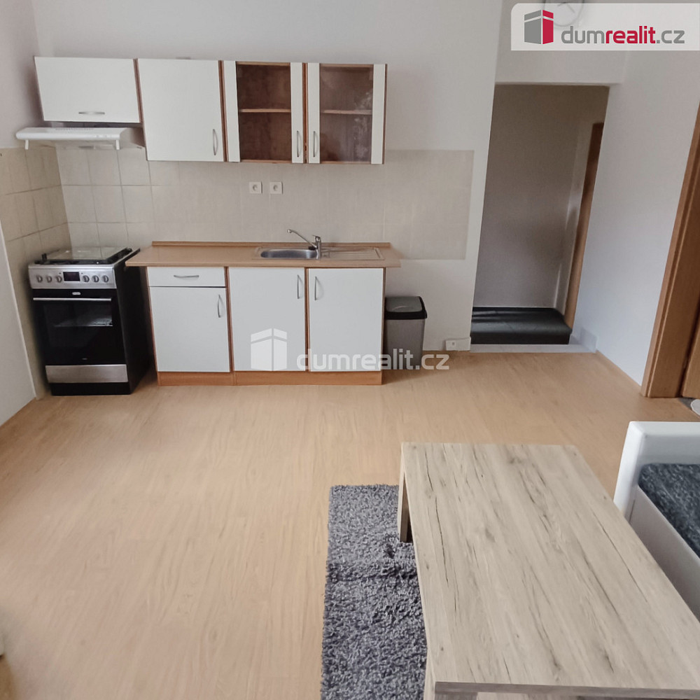 Pronájem bytu 1+1 44 m²