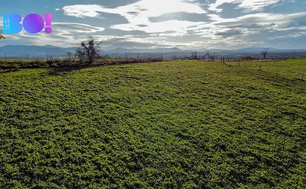 Prodej stavebního pozemku 4 357 m², Těrlicko, okres Karviná