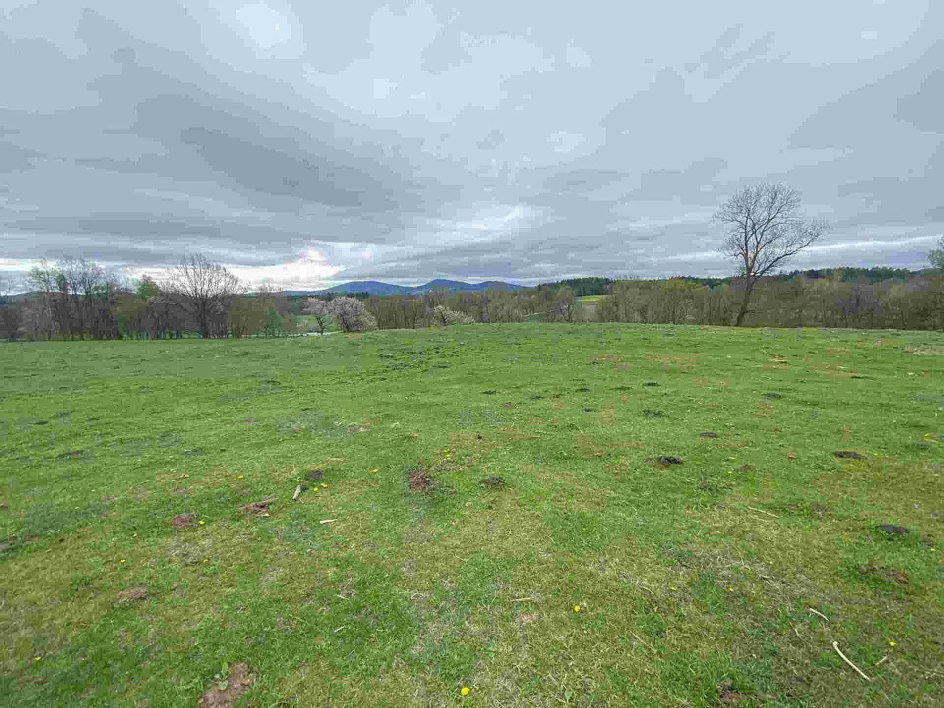 Prodej stavebního pozemku 1 242 m² – fotografie 3