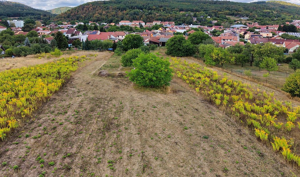 Prodej stavebního pozemku 1 348 m², Veverská Bítýška – náhled fotky 2