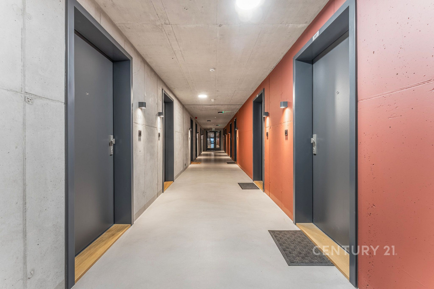 Fotka 9 z 12