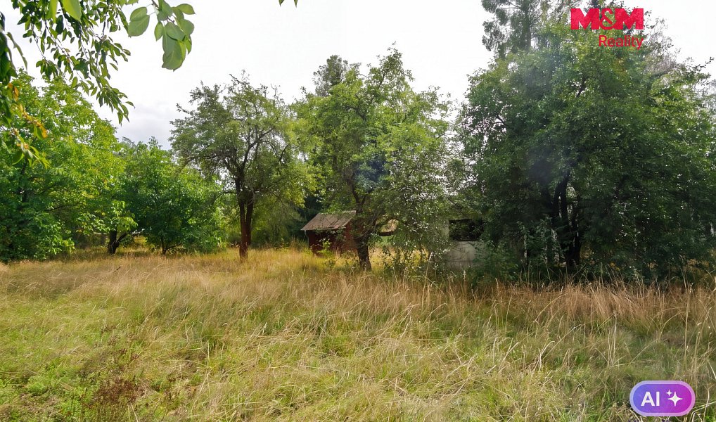 Prodej stavebního pozemku 2 828 m², Družec – náhled fotky 14