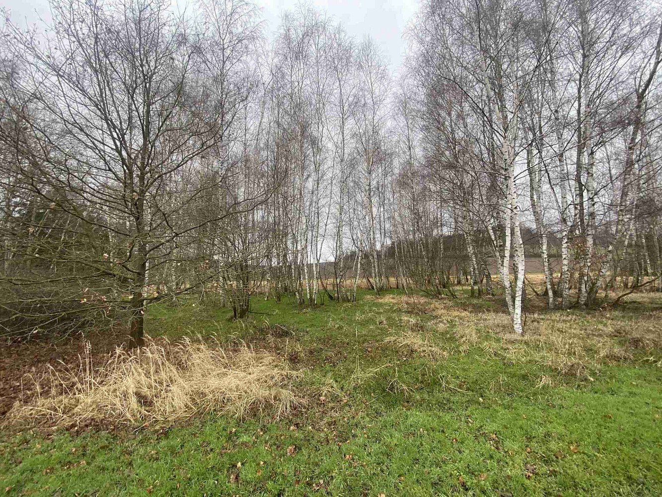 Prodej pozemku 10 244 m²