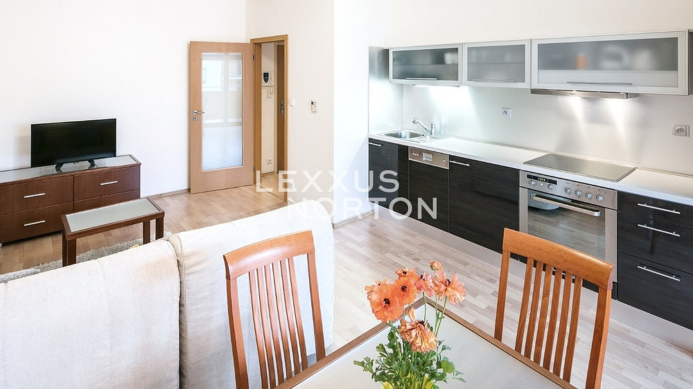 Pronájem bytu 2+kk 45 m² – fotografie 4