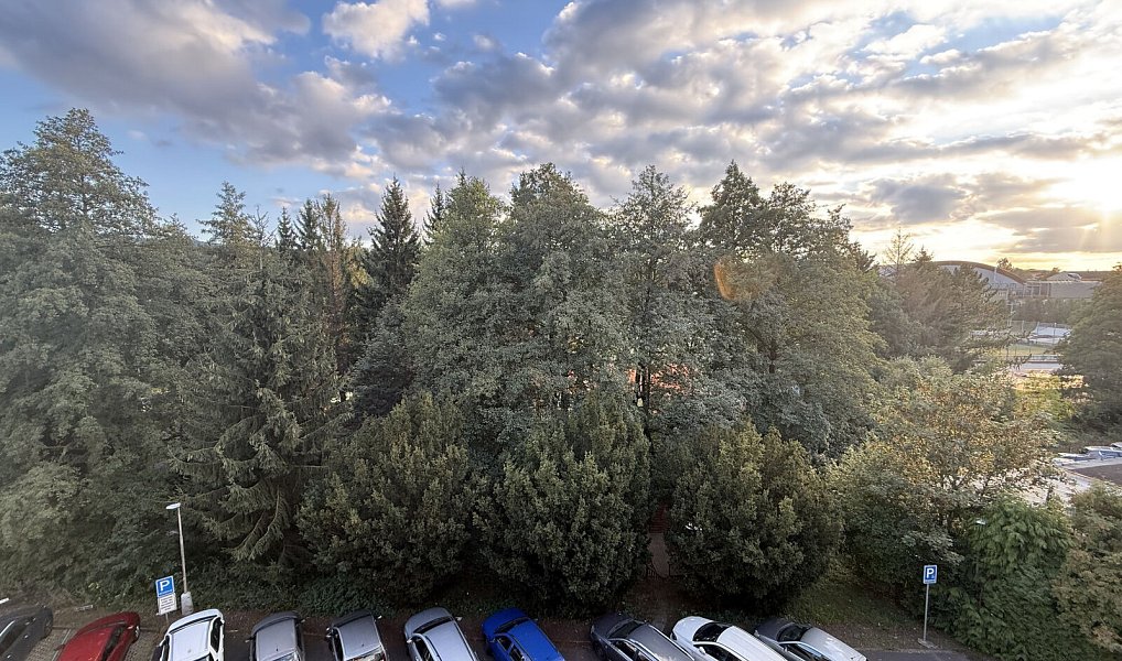 Prodej bytu 3+1 69 m², Sokolov – náhled fotky 21