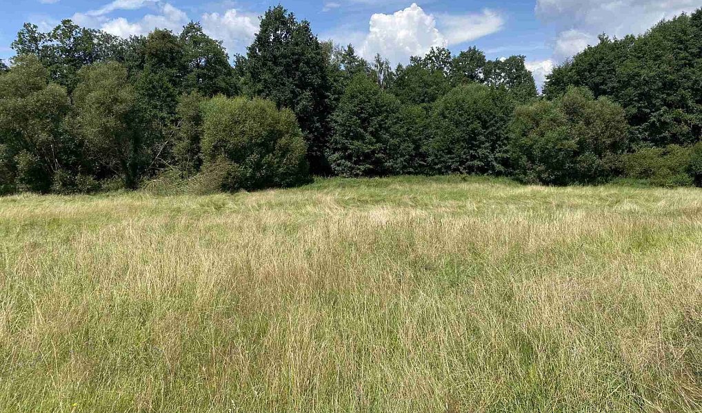 Prodej pole 55 481 m², Lhenice – náhled fotky 27